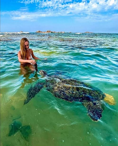 Swimming with sea turtles at Hikkaduwa Beach